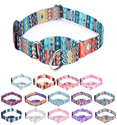 Moonpet Martingale Halsband für Hunde, verstellbar, weich, langlebig, für kleine, mittelgroße und große Jungen und männliche Hunde, kein Ziehen, rutschfeste Sicherheitsschnalle, Hundehalsband, Maya/L von Moonpet