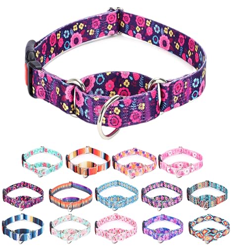 Moonpet Martingale Halsband für Hunde, verstellbar, weich, langlebig, für kleine, mittelgroße und große Jungen und männliche Hunde, kein Ziehen, rutschfeste Sicherheitsschnalle, Hundehalsband, von Moonpet