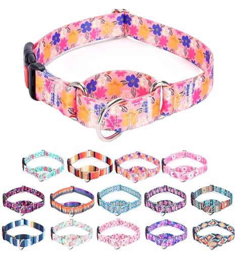 Moonpet Martingale Halsband für Hunde, verstellbar, weich, langlebig, für kleine, mittelgroße und große Jungen und männliche Hunde, kein Ziehen, rutschfeste Sicherheitsschnalle, Hundehalsband, von Moonpet