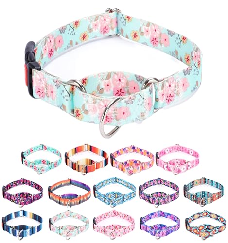 Moonpet Martingale Halsband für Hunde, verstellbar, weich, langlebig, für kleine, mittelgroße und große Jungen und männliche Hunde, kein Ziehen, rutschfeste Sicherheitsschnalle, Hundehalsband, von Moonpet