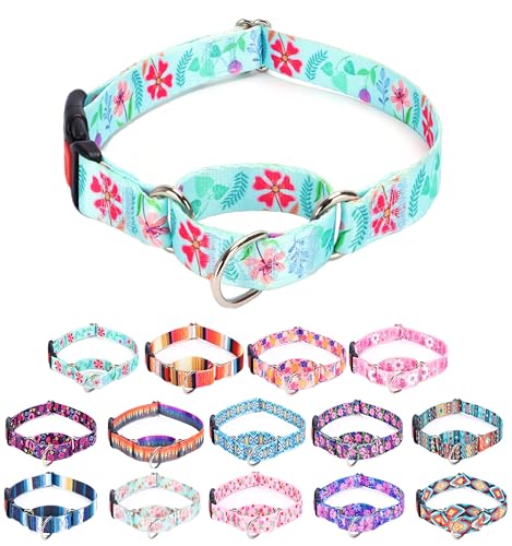 Moonpet Martingale Halsband für Hunde, verstellbar, weich, langlebig, für kleine, mittelgroße und große Jungen und männliche Hunde, kein Ziehen, rutschfeste Sicherheitsschnalle, Hundehalsband, von Moonpet