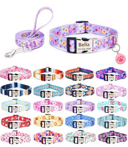 Moonpet Personalisierbares Hundehalsband mit Leine, Airtag-Halter, Etui-Set, individuelle Hundehalsbänder mit Namen, Telefonnummer für männliche, weibliche und große Hunde von Moonpet