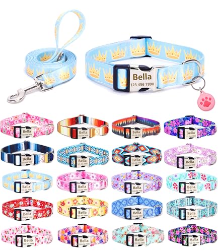 Moonpet Personalisierbares Hundehalsband mit Leine, Airtag-Halter, Etui-Set, individuelle Hundehalsbänder mit Namen, Telefonnummer für männliche, weibliche und große Hunde von Moonpet