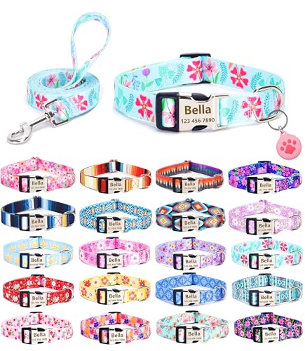 Moonpet Personalisierbares Hundehalsband mit Leine, Airtag-Halter, Etui-Set, individuelle Hundehalsbänder mit Namen, Telefonnummer für männliche, weibliche und große Hunde von Moonpet