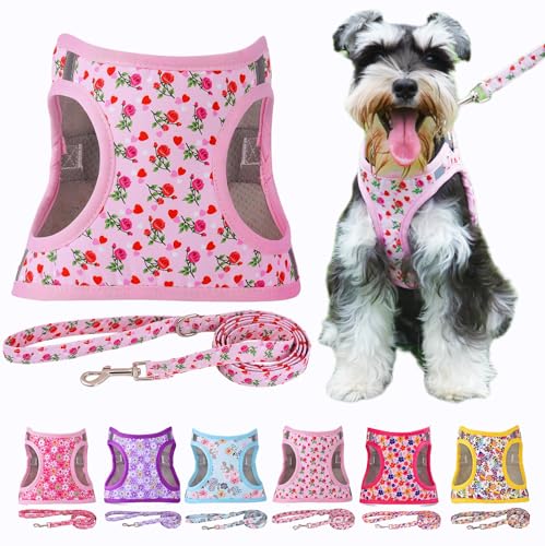 Moonpet Step in Air Hundegeschirr Leine Set – Reflektierendes Blumenmuster gepolsterte Netzweste Geschirr für Katzen, Welpen, extra kleine, kleine, mittelgroße Hunde-Herz Rose – XXS von Moonpet