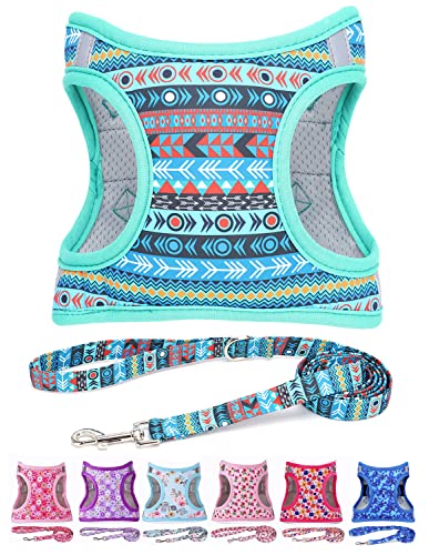 Moonpet Step in Air Hundegeschirr Leine Set – Reflektierendes Blumenmuster gepolsterte Netzweste Geschirr für Katzen, Welpen, extra kleine, kleine, mittelgroße Hunde - Maya-Mysterium - S von Moonpet