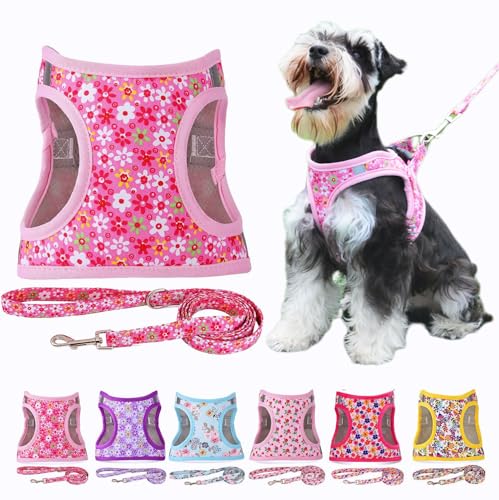 Moonpet Step in Air Hundegeschirr Leine Set – Reflektierendes Blumenmuster gepolsterte Netzweste Geschirr für Katzen, Welpen, extra kleine, kleine, mittelgroße Hunde-Rosa Blume -S von Moonpet