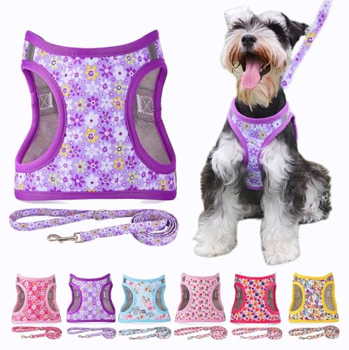 Moonpet Step in Air Hundegeschirr Leine Set – Reflektierendes Blumenmuster gepolsterte Netzweste Geschirr für Katzen, Welpen, extra kleine, kleine, mittelgroße Hunde-Violette Blume, XS von Moonpet