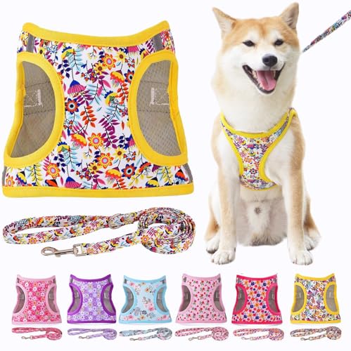 Moonpet Step in Air Hundegeschirr Leine Set – Reflektierendes Blumenmuster gepolsterte Netzweste Geschirr für Katzen, Welpen, extra kleine, kleine, mittelgroße Hunde-weiße Blume, XS von Moonpet