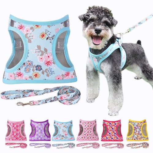 Moonpet Step in Air Hundegeschirr Leine Set – Reflektierendes Blumenmuster gepolsterte Netzweste Geschirr für Katzen, Welpen, extra kleine, kleine, mittelgroße Hunde-Glockenorchidee - XS von Moonpet