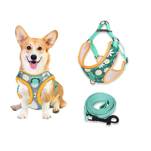 Moorle Hundegeschirr Kleine Hunde, Welpengeschirr Verstellbar mit Leine, Geschirr Gepolstert Mittelgroße Hunde, Air-Mesh Dog Harness Hunde Brustgeschir Weich, Hundegeschirr Kleine Hunde Gänseblümchen von Moorle