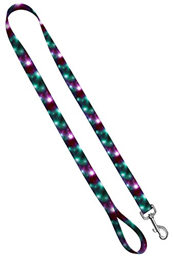 Moose Pet Wear Deluxe Hundeleine - Gemusterte Heavy Duty Pet Leashes, Made in USA - 1 Zoll x 4 Fuß, 1" Leash 4 FT, Cosmic Ray von Moose Pet Wear