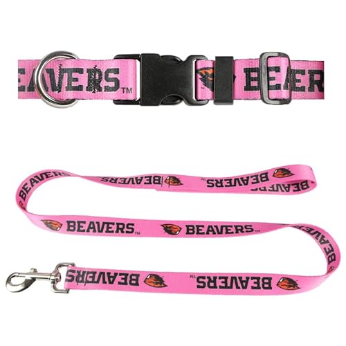 Oregon State University Hundehalsband & Leine Set – Passendes Hundehalsband & 183 cm Hundeleine, 1,9 cm breites Halsband verstellbar 8-1/2 – 12-1/2 Zoll, klein, Biber auf Pink von Moose Pet Wear