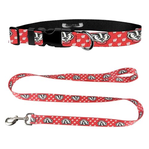 University of Wisconsin Hundehalsband & Leine, Set – Passende Hundehalsbänder & 180 cm Hundeleine, 2,5 cm breites Halsband, verstellbar 33-53,3 cm, groß, rotes Dachs von Moose Pet Wear