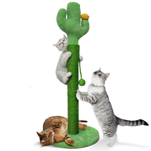 Mora Pets Kratzstamm 83 cm Kratzsäule Kaktus Kratzbaum Klein Kratz Kaktus für Katzen Cat Scratching Post Kratzkaktus Natürlicher Sisal Kratzstange Stabil, Grün von Mora Pets