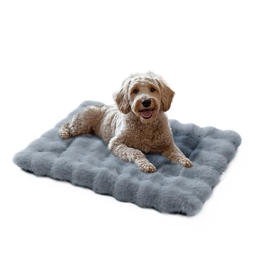 Mora Pets Hundematte Hundedecke waschbar und rutschfest Hundebett Flauschig Hundekissen für Kleine Mittelgroße Grosse Hunde Decke Weiches und Warmes, Grau 61 x 46 cm von Mora Pets