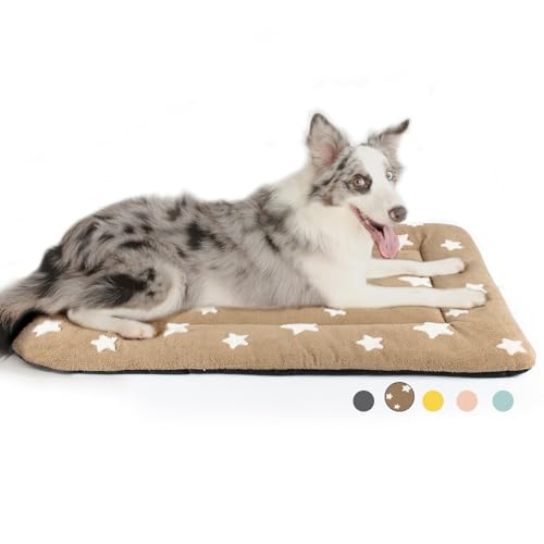 Mora Pets Hundekäfig-Unterlage, Hundebett-Matte für mittelgroße und große Hunde, waschbar, für 91,4 cm Käfig, ultraweiche, flache Welpenmatratze, Katze, Kätzchen, niedliches Kissen für gemütliches von Mora Pets