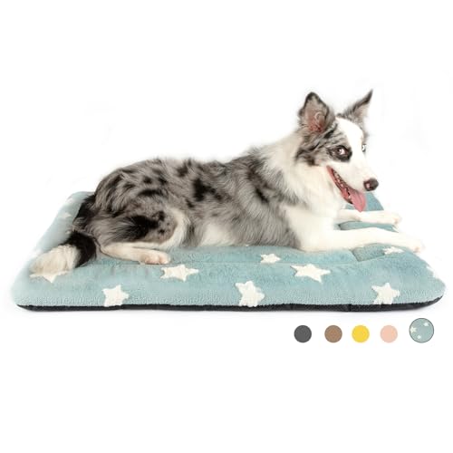 Mora Pets Hundekäfig-Unterlage, Hundebett-Matte für mittelgroße und große Hunde, waschbar, für 91,4 cm Käfig, ultraweiche, flache Welpenmatratze, Katze, Kätzchen, niedliches Kissen für gemütliches von Mora Pets