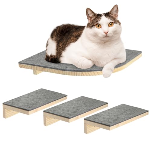 Mora Pets Kletterwand Katzen Katzentreppe Wand 4er-Set Katzen Kletterwand Set Stabiler Katzenwand Naturholz Katzenleiter Katzenwandparkour für Katzen von Mora Pets