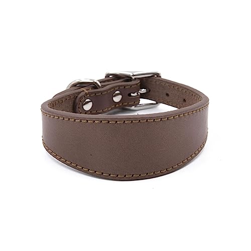 Morain Leathers Hundehalsband, weich gepolstert, für Whippets, Salukis, Windhunde, verstellbares Halsband für große Rassen von Morain