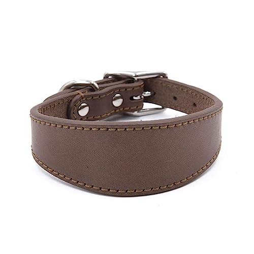 Morain Leathers Hundehalsband, weich gepolstert, für Whippets, Salukis, Windhunde, verstellbares Halsband für große Rassen von Morain