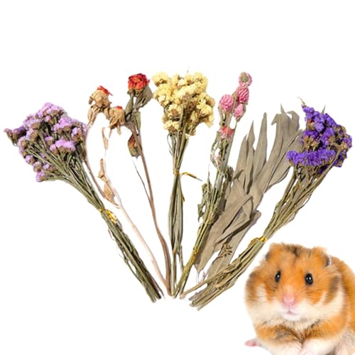 Hamster-Bettwäsche für Hamster, Trockenblumen, Kleintierblumen, Lebensraumdekoration, Mäuse-Lebensraum-Dekoration, natürliche Hamster-Bettwäsche Blumen, natürliche - für Hamster, Igel von Moreeulsi