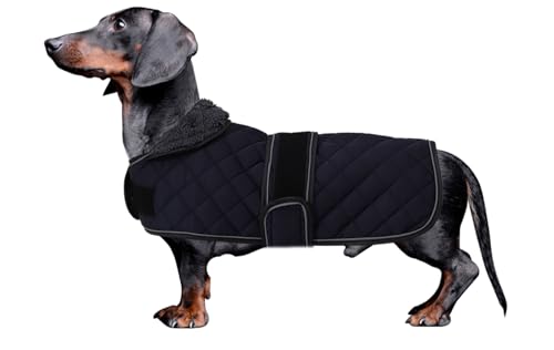 MOREZI Dackel Hund Winterjacke. wasserdichte Hundejacke. Mit Wolle, inneren und verstellbaren Schultergurten. Hundekleidung im Freien-Marine-Blau-S von Morezi