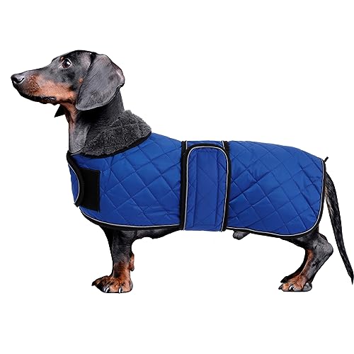 MOREZI Dackel Hund Winterjacke. wasserdichte Hundejacke. Mit Wolle, inneren und verstellbaren Schultergurten. Hundekleidung im Freien-Navy-M von Morezi