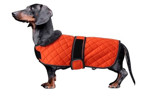 MOREZI Dackel Hund Winterjacke. wasserdichte Hundejacke. Mit Wolle, inneren und verstellbaren Schultergurten. Hundekleidung im Freien-Orange-M von Morezi