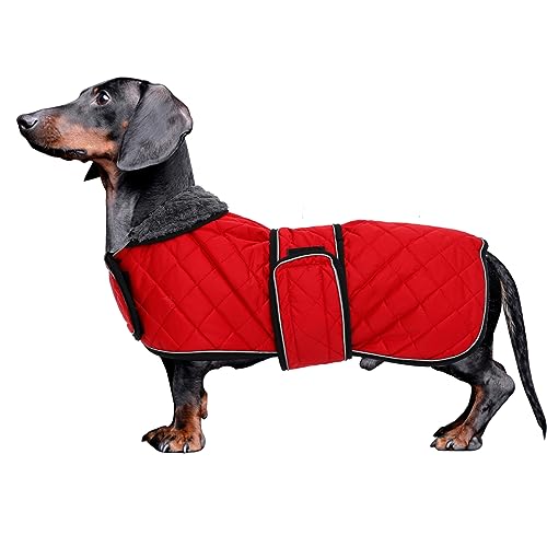 MOREZI Dackel Hund Winterjacke. wasserdichte Hundejacke. Mit Wolle, inneren und verstellbaren Schultergurten. Hundekleidung im Freien-Rot-S von Morezi