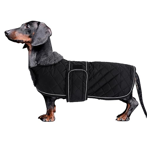 MOREZI Dackel Hund Winterjacke. wasserdichte Hundejacke. Mit Wolle, inneren und verstellbaren Schultergurten. Hundekleidung im Freien-Schwarz-L von Morezi