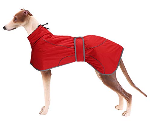 MOREZI Windhund-Wintermantel, Whippet-Mantel mit gepolstertem Fleece-Futter, Wasserabweisende Hundejacke mit verstellbaren Bändern und reflektierenden Elementen-Rot-L von Morezi