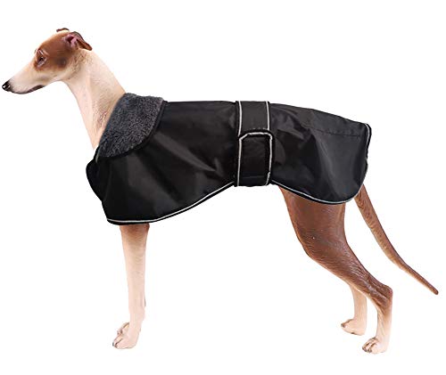 MOREZI Winter wasserdichte Hundejacke, mit warmem Fleecefutter, Outdoorbekleidung, mit verstellbaren Schultergurten, geeignet für mittlere und große Hunde-Schwarz-XS von Morezi