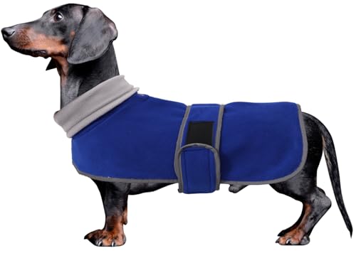 MOREZI Winterhundejacke mit wattiertem Flusenfutter, verstellbarem Klettknopf und hochklappbarem Stehkragen. Sehr gut geeignet für Dackel und kleine und mittelgroße Jagdhunde-Blau-M von Morezi