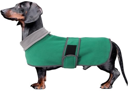 MOREZI Winterhundejacke mit wattiertem Flusenfutter, verstellbarem Klettknopf und hochklappbarem Stehkragen. Sehr gut geeignet für Dackel und kleine und mittelgroße Jagdhunde-Grün-L von Morezi