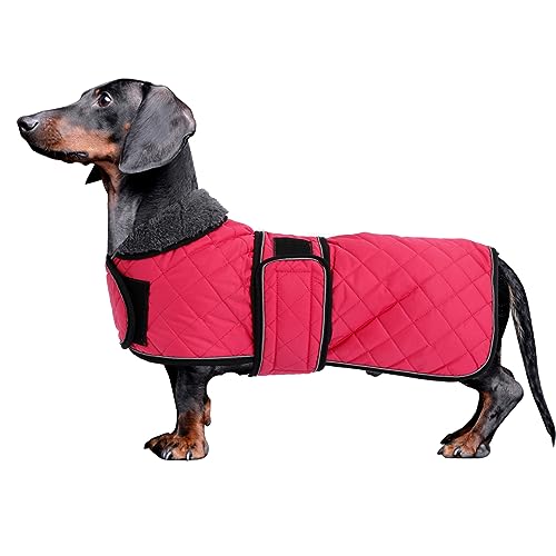 MOREZI Dackel Hund Winterjacke. wasserdichte Hundejacke. Mit Wolle, inneren und verstellbaren Schultergurten. Hundekleidung im Freien-Pink-S von Morezi