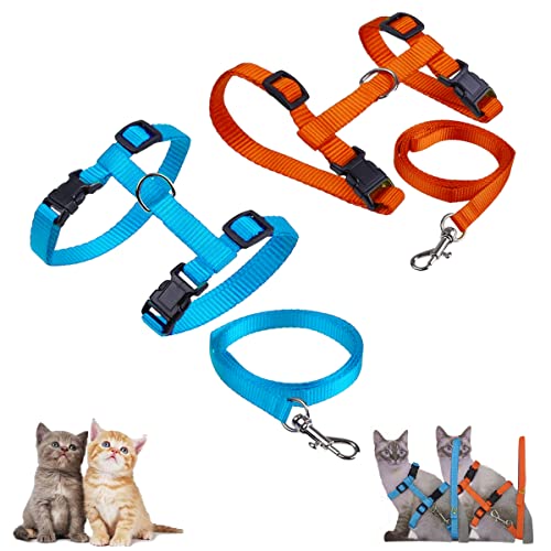 Morices Katzengeschirr und Leine, verstellbares, bequemes Nylon-Halsband mit Leine, ausbruchsicheres Sicherheitsseil, Brustgurt für Kätzchen, Welpen, Kaninchen, Walking, Training (Orange und Blau) von Morices