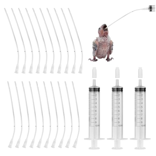 23 Stück Jungvögel Füttern Schlauch, Tauben Zubehör, Jungvögel Füttern Spritze 10ml mit Schlauch, Handfütterungswerkzeug für Baby Vögel und Papageien, Feeder Futter, Wasser, Milch von Morocket