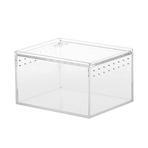 Moslate Reptilienaufzuchtbox, transparenter Reptilienkäfig, 20x15x10cm, mit Schiebedeckel, Kunststoff Acryl, Futterbehälter geeignet für Reptilien, Amphibien von Moslate