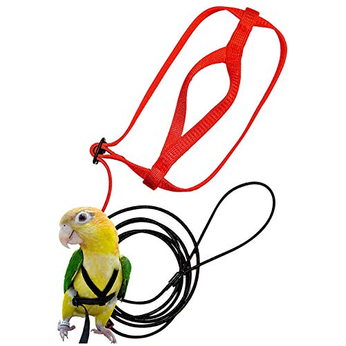 Papageienleine, verstellbares Vogelgeschirr, Papageien-Flugleine, Vogel-Anti-Biss-Nylon-Seil, Nymphensittich-Geschirr und Leine, Flugtrainingsseil geeignet für Vögel, Papageien, Conure von Moslate