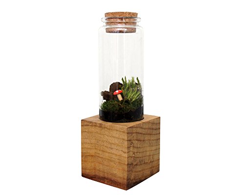 Moss + Twig Terrarium-Set mit Holzsockel, handgefertigt in New York City, NY von Moss + Twig