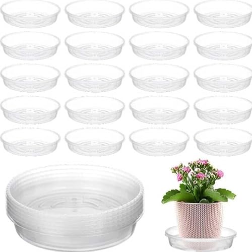 Mounteps 10 x Klare Runde Kunststoff Pflanze Topf Untertasse Pflanzgefäß Wasser Tropfschale Grundplatte (15cm-10Pcs) von Mounteps