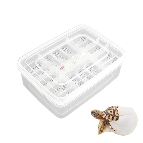 Brutkasten für Reptilien, Brutkasten für Reptilieneier - 16 Gitter transparente Brutbox für Reptilieneier,Brutkasten, Bruttablett, Brutkasten für Gecko, Löwenmähne von Moxeupon