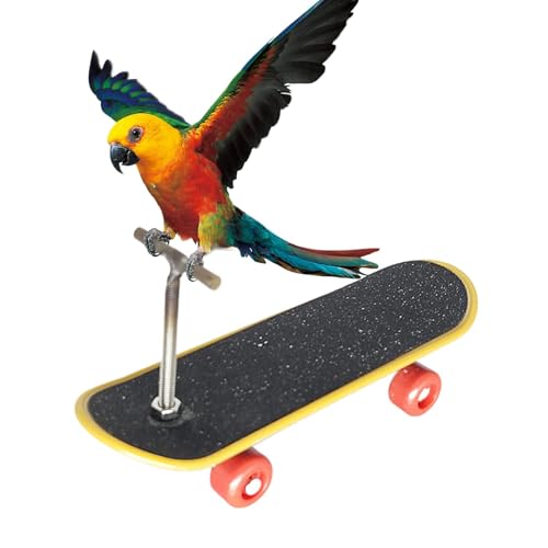 Moxeupon -Trainingstreitrequisiten, Skateboard -Vogelspielzeug - Puzzle Spaß Training Skateboard - Bird Toys Intelligence-Steigerung niedlicher Tierversorgungen für die Verbesserung der Fähigkeiten von Moxeupon