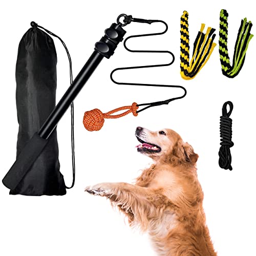 Flirt Pole Seil Hundespielzeug mit Seilball und 2 Jagdschwanz Kauen Geflochtenes Baumwollseil Outdoor Interaktives Zerren Ausziehbarer Teaser Trainingsstab Haustier Flirt Stick für kleine, mittelgroße von Moyubath