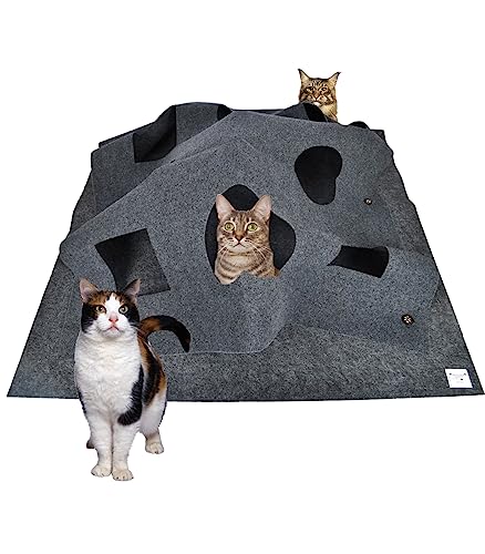 Katzenspielzeug und Kratzmatte, Spielmatte für Katzen, Interaktive Trainingsmatte, Katzenteppich Cat Playground Dunkelgrau von Moyubath