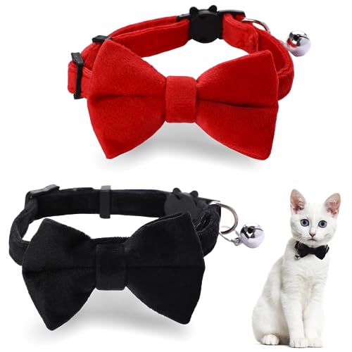 2 Stück Personalisierte Katzen Halsband Samt Katzenhalsband mit Glöckchen süßes Halsbänder mit Fliege verstellbar für kleine Welpen Sicherheitsfliege für kleine Haustiere Katzen-Fliege von Mozeat Lens