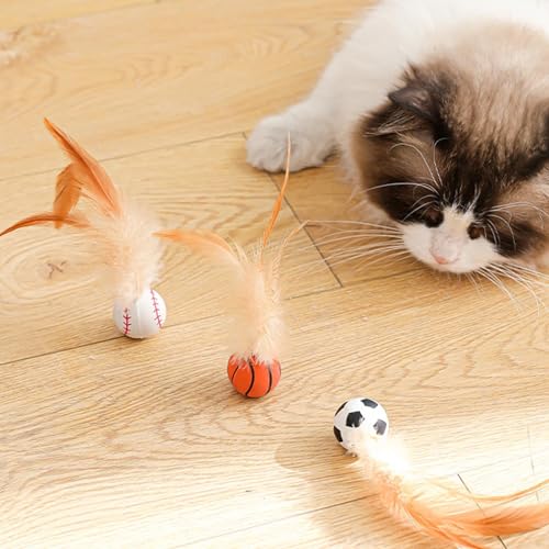 Mppchhn 6 Stück Katzenbälle | Bälle Mit Feder | Katzenfederbälle | Katzenspielzeug Ball | Wackelball Für Katzen | Interaktives Katzenspielzeug Für Den Innenbereich, Kätzchen, Kautraining, Jagd von Mppchhn