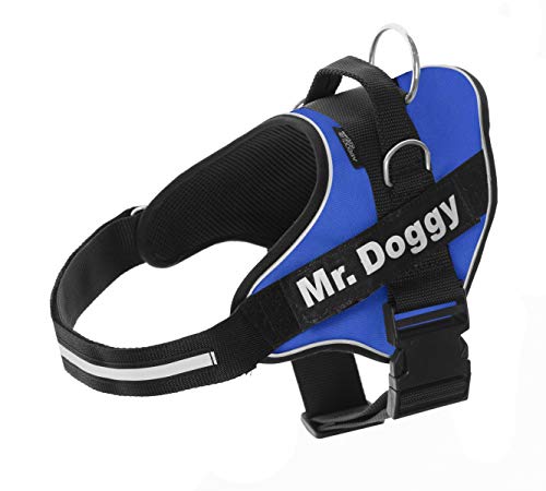 Personalisiertes Hundegeschirr - Reflektierendes und sicheres Hundegeschirr - Enthält 2 Namensschilder - Klein, Mittel und Groß - Qualität und Beständigkeit (Blau, XXS 1,5-3,5KG) von Mr. Doggy