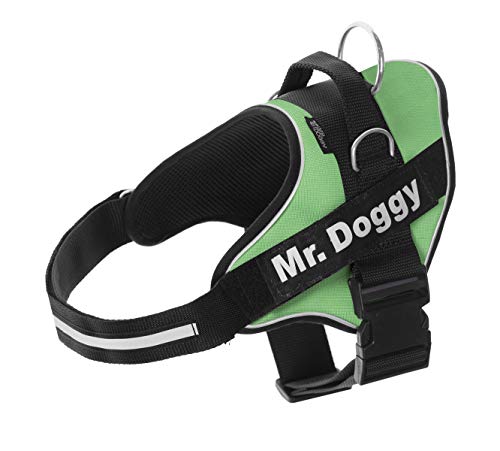 Personalisiertes Hundegeschirr - Reflektierendes und sicheres Hundegeschirr - Enthält 2 Namensschilder - Klein, Mittel und Groß - Qualität und Beständigkeit (Grün, XS 3-7,5KG) von Mr. Doggy